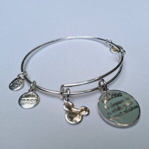 Alex and Ani Disney Parks - A Dream Is A Wish Your Heart Makes Bracelet